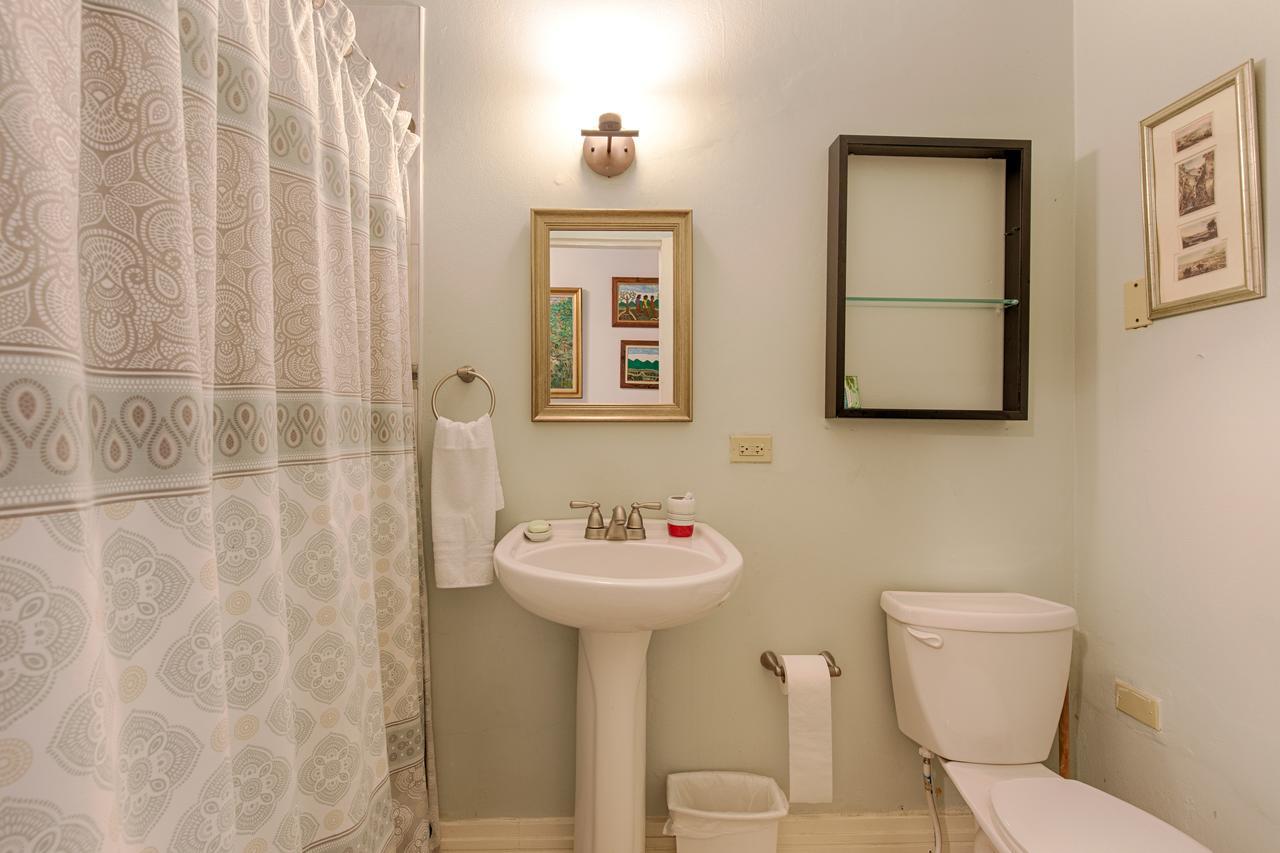 Chester Avenue Guest House Κίνγκστον Εξωτερικό φωτογραφία