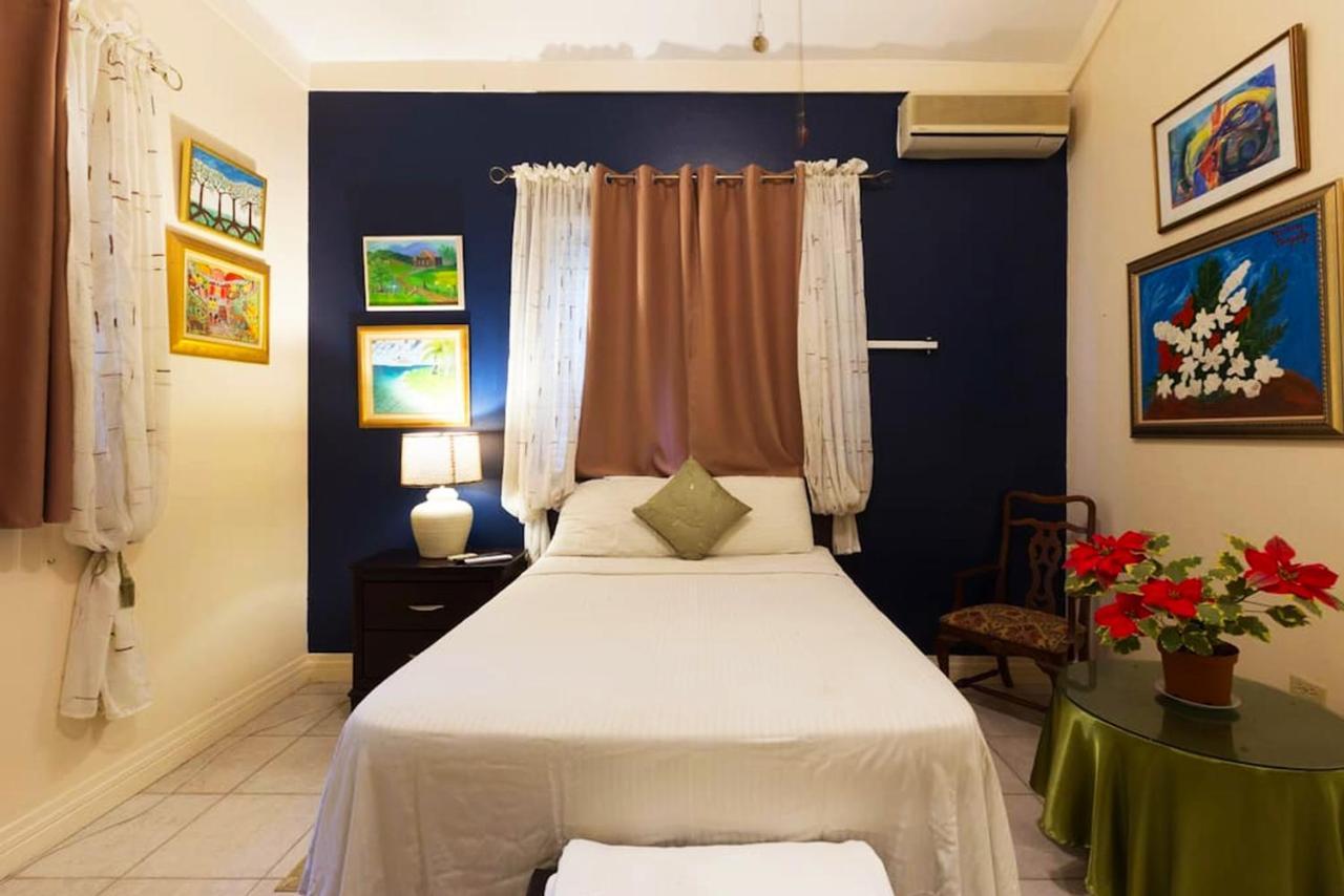 Chester Avenue Guest House Κίνγκστον Εξωτερικό φωτογραφία