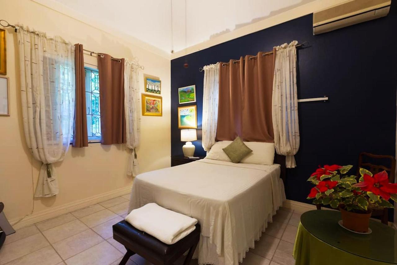 Chester Avenue Guest House Κίνγκστον Εξωτερικό φωτογραφία